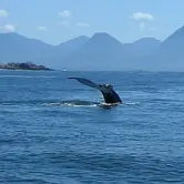 Karl Gregg, Vancouver BC