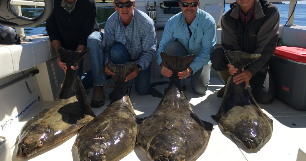 Salmon Eye Charters Halibut Fishing BC, Alaska How Ucluelet