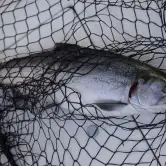 Jon Unger, Seattle Washington