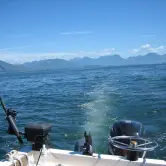 Tim Gould, Vancouver BC